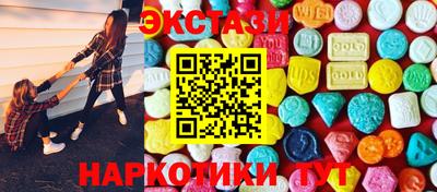СК Кингисепп