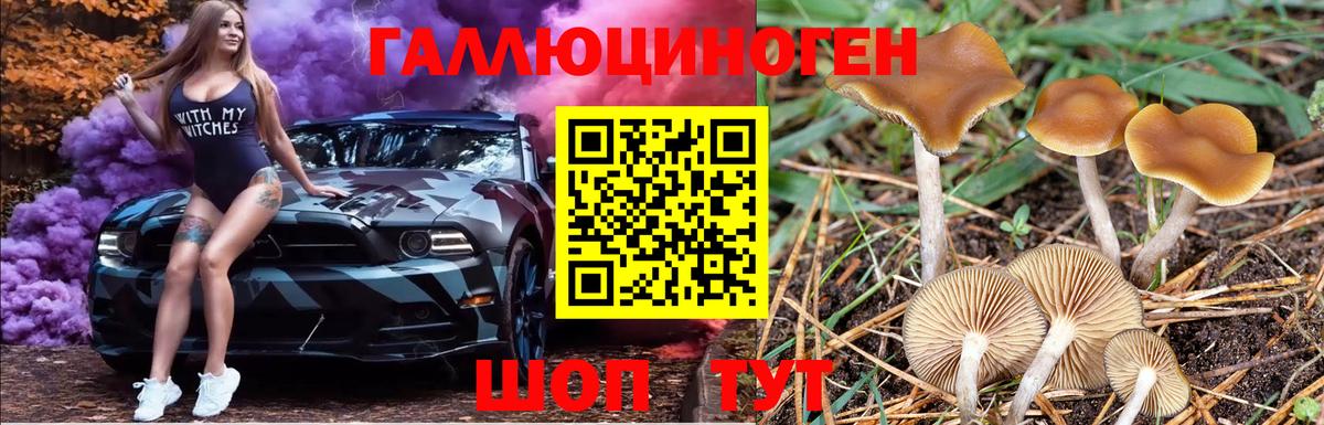 Кизилюрт  Псилоцибиновые грибы Psilocybine cubensis  даркнет сайт  Вход с VPN  Галлюциногенные грибы ЛСД 