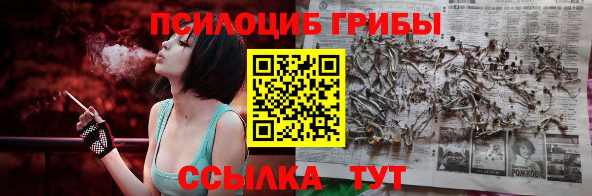 Псилоцибиновые грибы ЛСД Кизилюрт